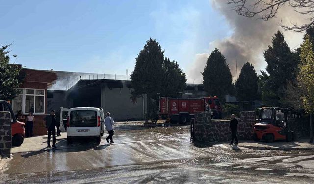 Tekstil fabrikasında yangın: Ekiplerin müdahalesi sürüyor