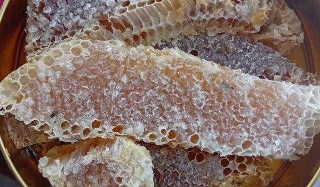 Batman'da ağaç kovuklarındaki bu bal çeyrek altını geride bıraktı