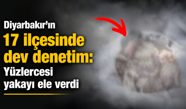Diyarbakır'ın 17 ilçesinde dev denetim: Yüzlercesi yakayı ele verdi