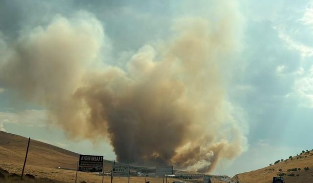 Elazığ'da köylüler de yangını söndürmek için seferber oldu