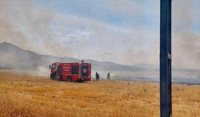 Elektrik tellerinden çıkan kıvılcım 40 dönümlük alanı küle çevirdi