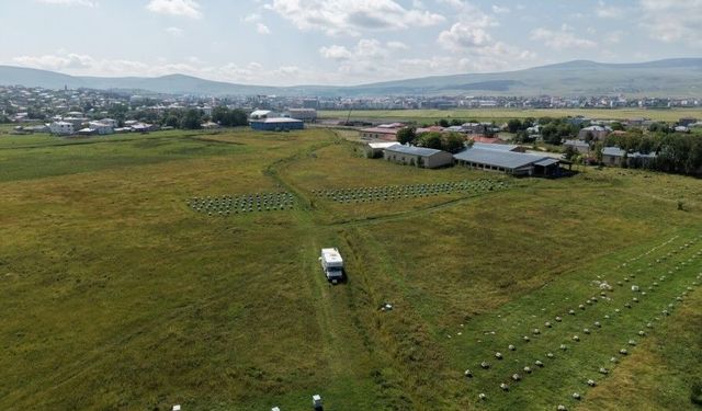 Kafkas arısının balında hasat heyecanına vali de katıldı