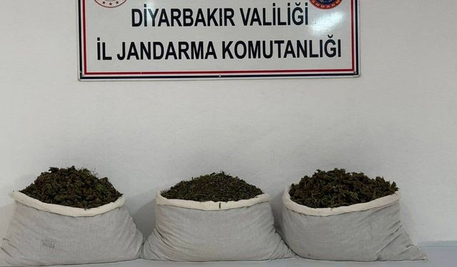 Diyarbakır’da narkotik operasyonları