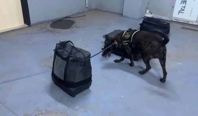 Silopi'de 7 kilo metamfetamin ele geçirildi