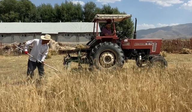 Yüksekova'da çiftçiler sıcağın altında ekmek peşinde
