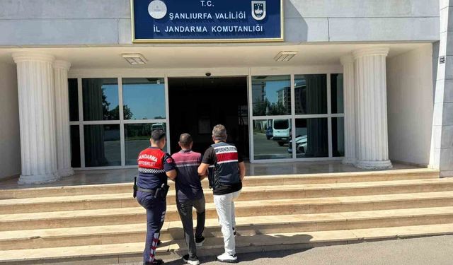Şanlıurfa'da hapis cezası bulunan hükümlü yakalandı