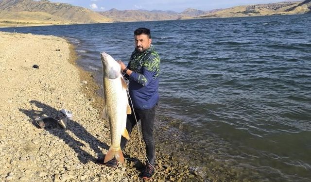 Elazığ'da amatör balıkçının oltasına 30 kiloluk turna takıldı
