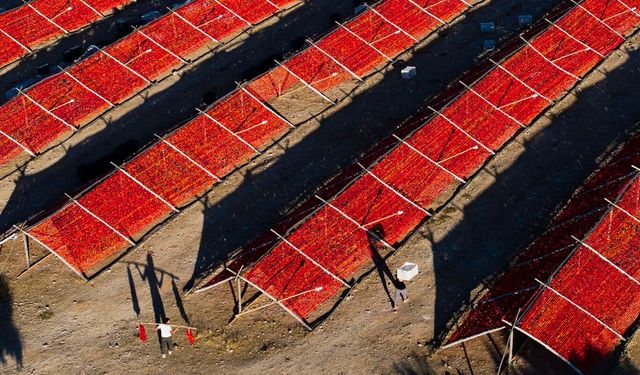 Gaziantep'te 57,6 milyon adet kurutmalık ürün borsada işlem gördü