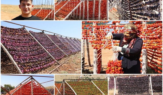 Gaziantep'te kurutmalık patlıcan ve biber mesaisi devam ediyor