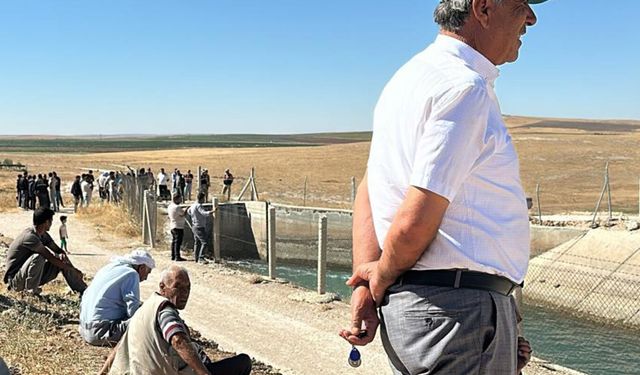 Şanlıurfa'da akıntıya kapılan çocuğu arama çalışmaları devam ediyor