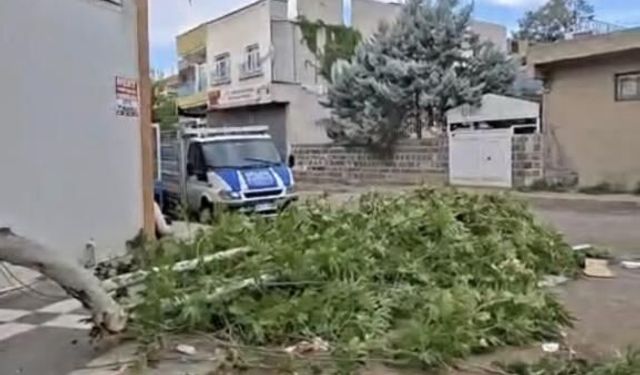 Şanlıurfa'da aniden bastıran fırtına zor anlar yaşattı