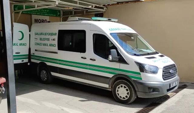 Mardin'de devrilen tırın sürücüsü öldü