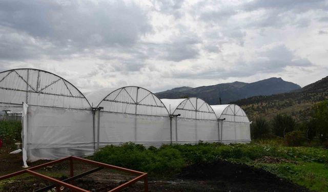 Aldıkları yüzde 50 hibe ile kurdukları sera gelir kaynakları oldu