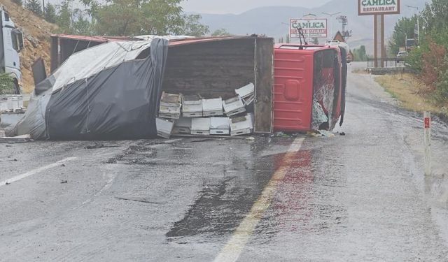 Arı yüklü kamyon yola savrulup devrildi: 2 kişi yaralandı