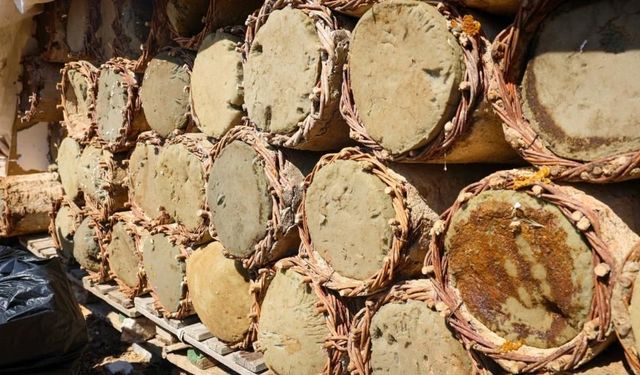 Bu kovanlar tam 60 yıllık! Malatya'da ata mirası bal geleneği yaşatılıyor