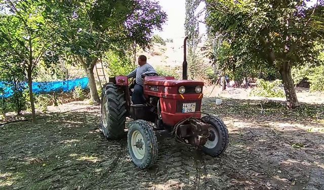 Ceviz hasadı yeni teknolojiyle 10 günden bir güne indi