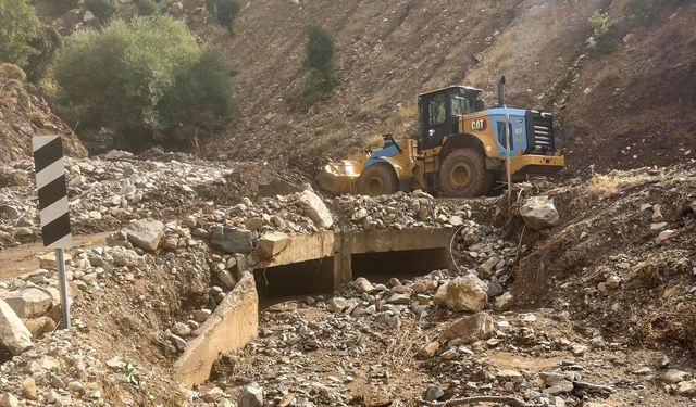 Kulp'ta yağışların ardından 57 yerleşim yolu hasar gördü