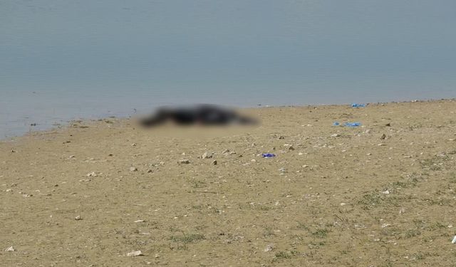 Malatya'da gölette erkek cesed! bulundu, Piknik yapan vatandaşlar fark etti