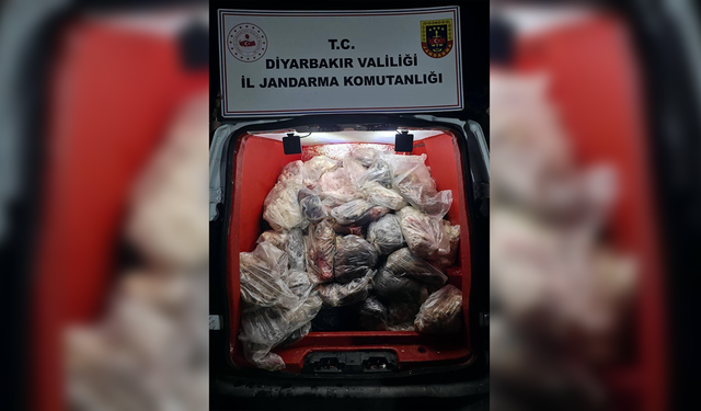 Diyarbakır’da 820 kilo sağlıksız hayvansal ürün ele geçirildi