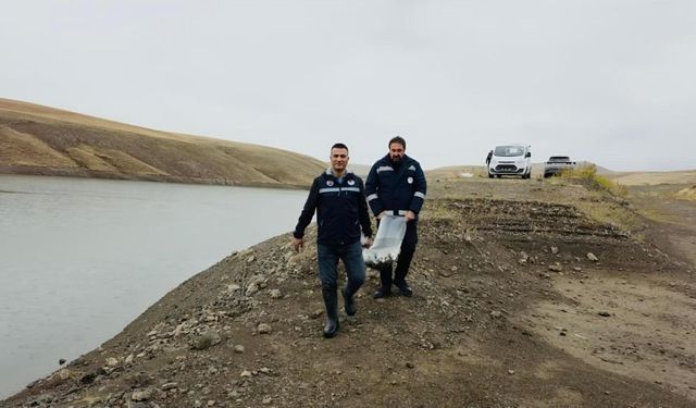 Van'da balıkçılık büyüyor: Hedef 550 milyon yavru alabalık