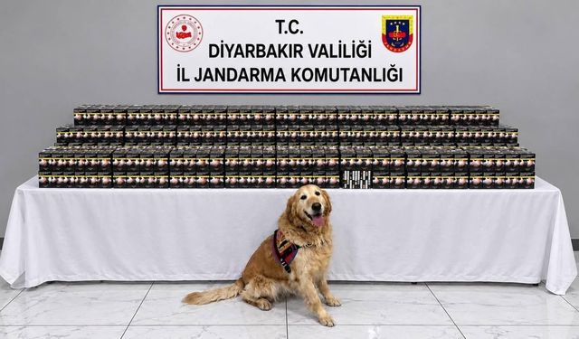 Diyarbakır’da kaçakçılık operasyonları