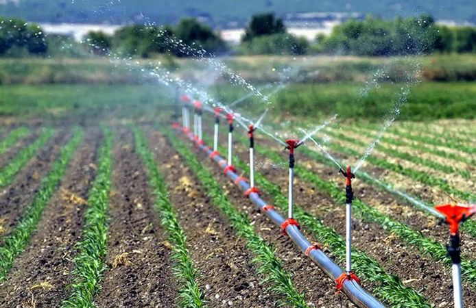 Tarımsal destekleme ödemeleri çiftçilerin hesaplarına aktarılıyor