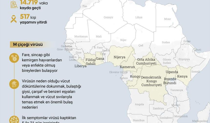 Afrika Kıtası, Hızla Yayılan M Çiçeği Salgınıyla Karşı Karşıya