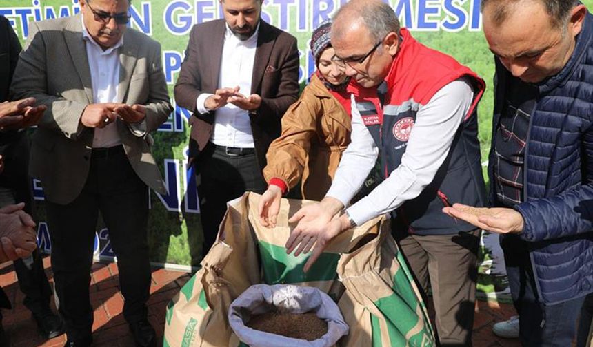 Diyarbakır'da üreticilere yüzde 75 hibe ile mercimek tohumu verildi