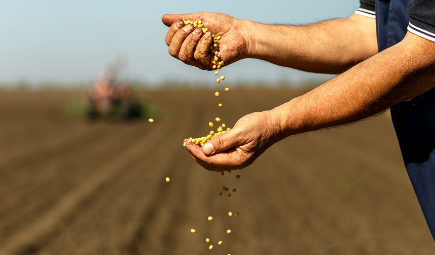 Tarımsal girdi fiyat endeksi eylülde arttı