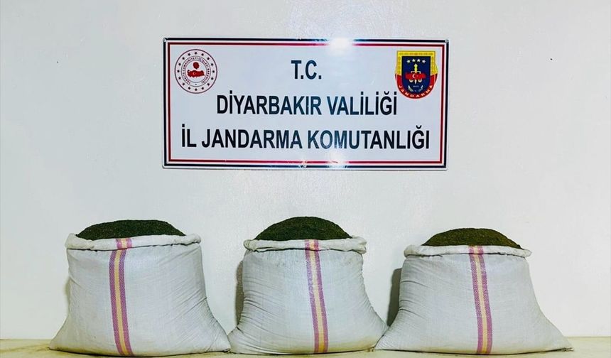 Diyarbakır'da 18 bin 246 kök Hint keneviri ile 81 kilo 800 gram esrar ele geçirildi