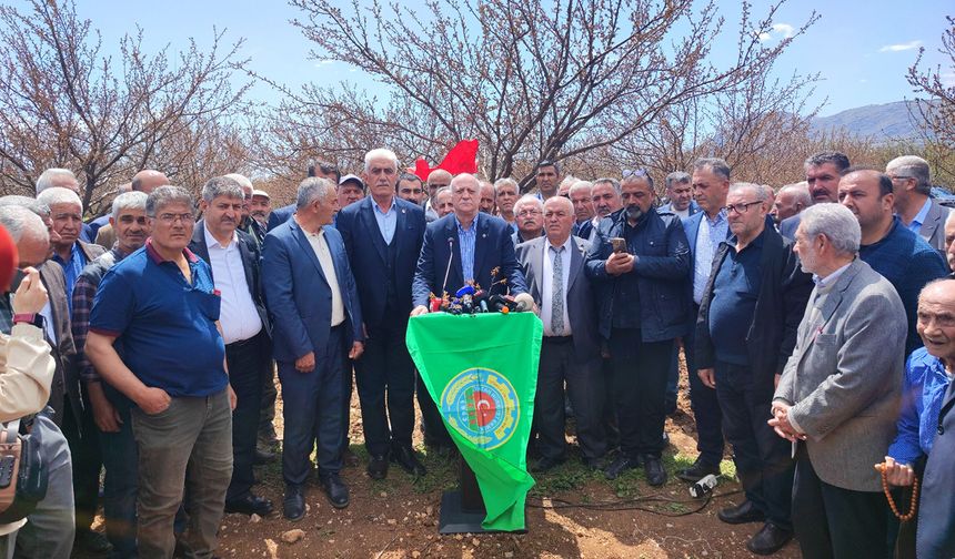Malatya'da kayısı bahçeleri felaketi yaşıyor: Don vurdu