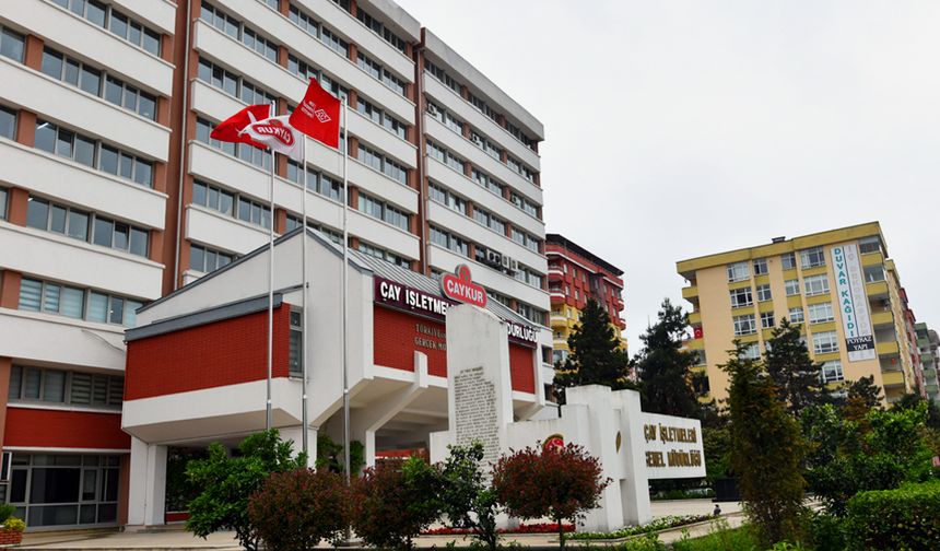 Çay İşletmeleri Genel Müdürlüğü geçici işçi alımı yapacak