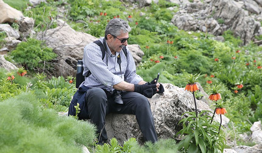 Ters laleleri görmek isteyen Bacavan Yaylası'na gidiyor