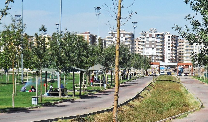 Diyarbakır'daki parkta mangal krizi: Denetimler başlayacak