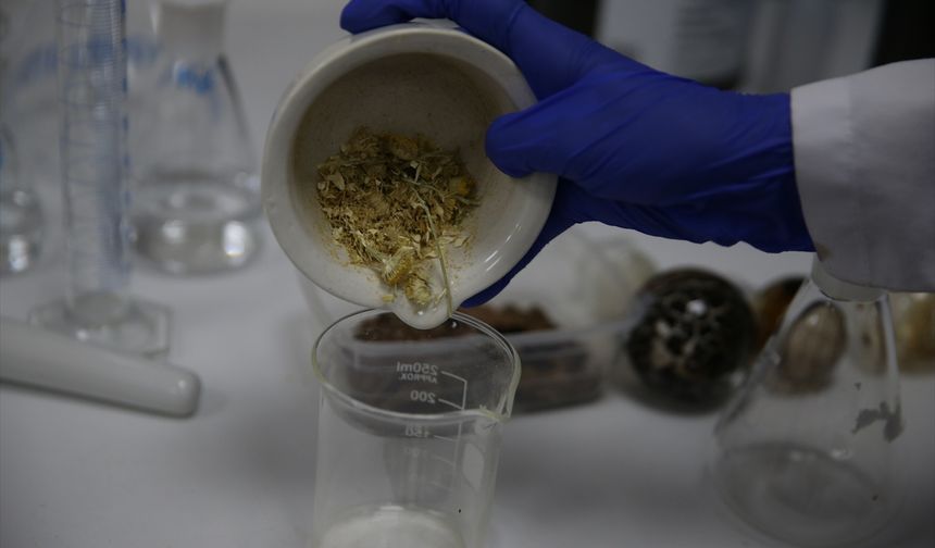 Dicle Üniversitesi, yeni ilaçların geliştirilmesi için çalışıyor