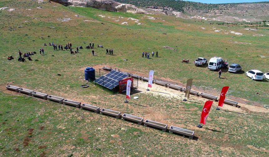 Mardin'de hayvanların otlatıldığı meralar güneş enerjisiyle suya kavuşturuluyor