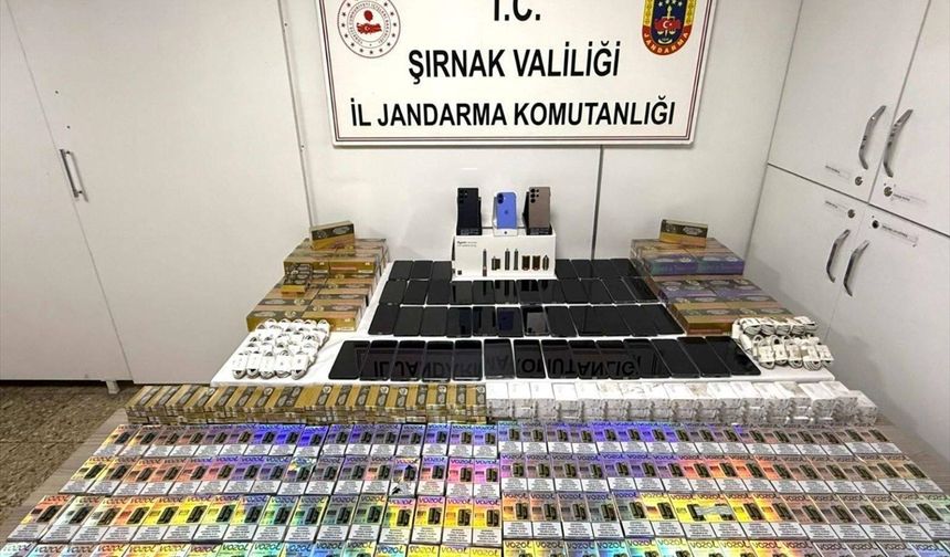 Şırnak'ta asayiş operasyonu: 44 gözaltı