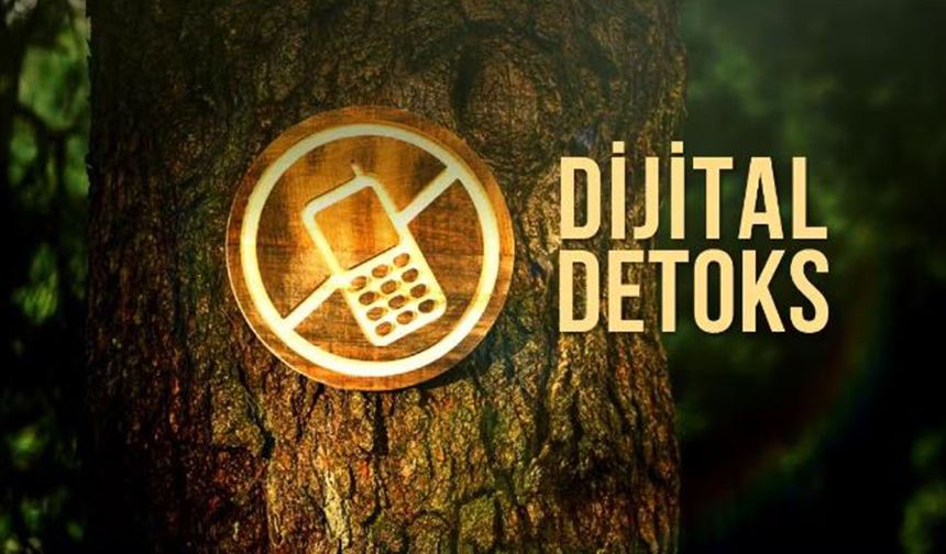 Dijital dünyadan arınmak neden önemlidir?