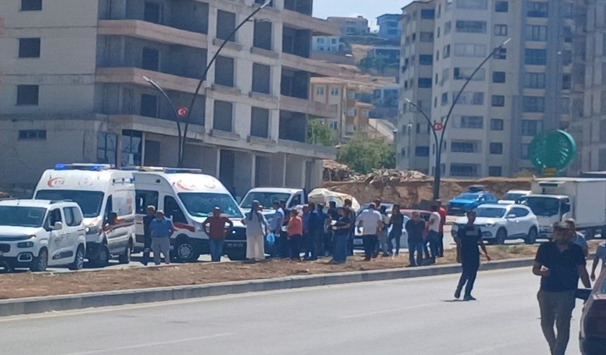 Kamyonet aydınlatma direğine çarptı: 2 yaralı