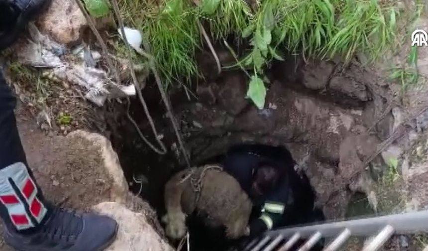 Diyarbakır'da su kuyusuna düşen koyun kurtarıldı