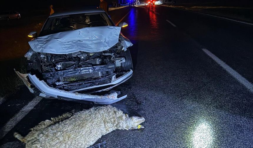 Siverek'te otomobil koyun sürüsüne çarptı: 3 kişi yaralandı