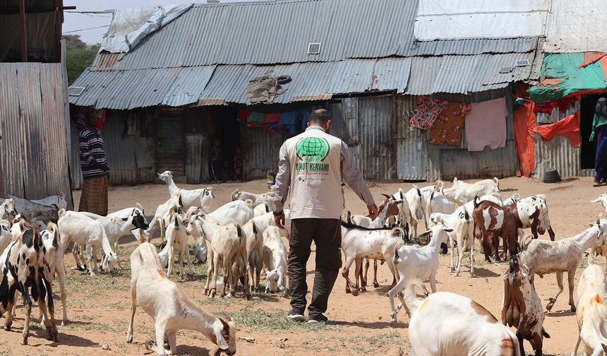 Umut Kervanı Siirt, Somali için kurban hazırlıklarını tamamladı