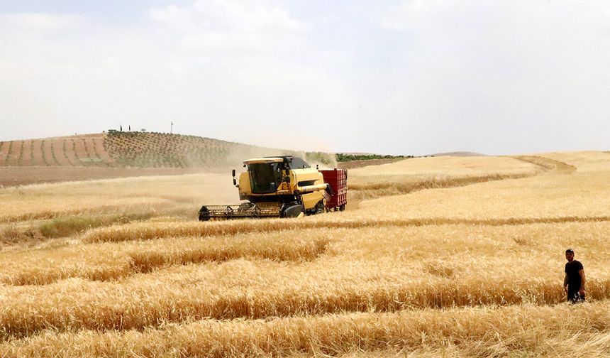 Diyarbakır’daki çiftçilere tarımsal destek ödemeleri başladı