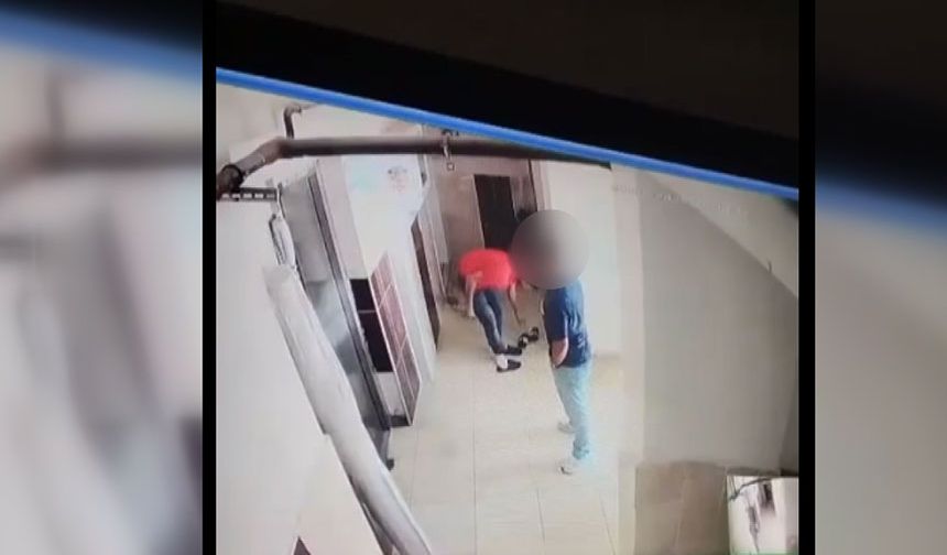 Diyarbakır'da halı teslimatı sırasındaki hırsızlık olayı şaşırttı