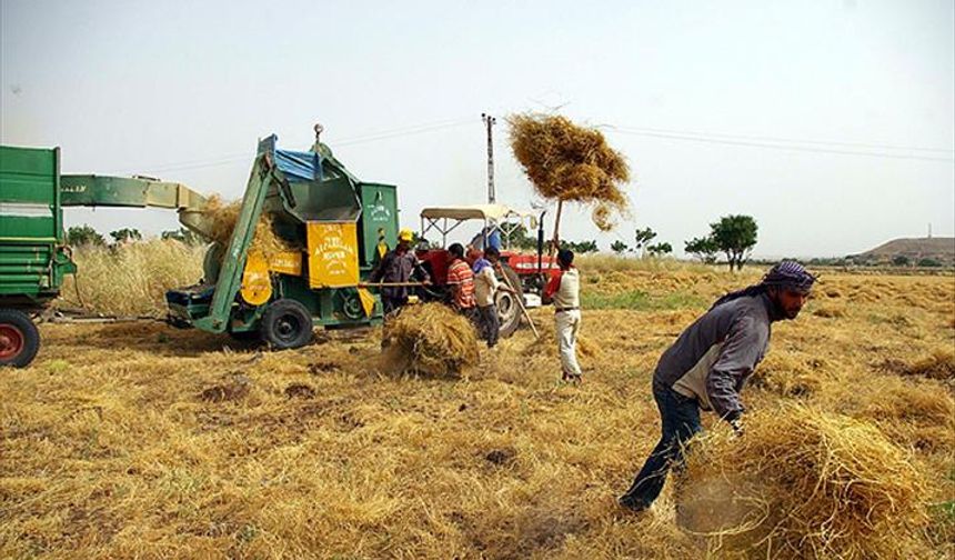 Diyarbakırlı çiftçilere destek ödemeleri başladı