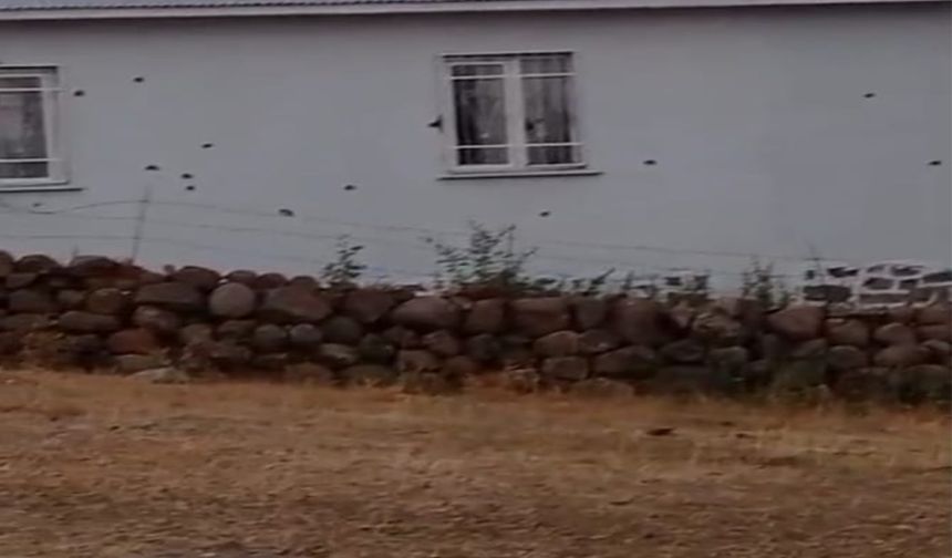 Bingöl'de köy evleri uzun namlulu silahlarla tarandı