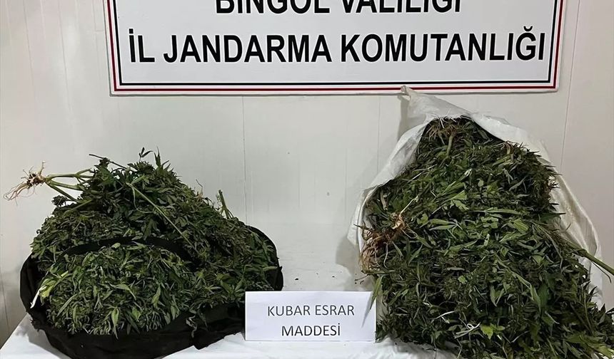 Bingöl'de17 kilogram esrar ele geçirildi: 4 gözaltı