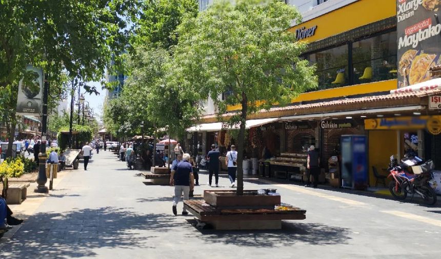 Türkiye'nin en yalnız şehirleri açıklandı: Diyarbakır'da durum farklı
