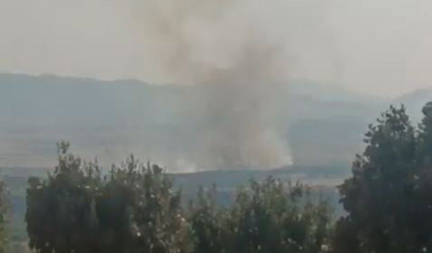 Diyarbakır'da 4 farklı noktada örtü yangını