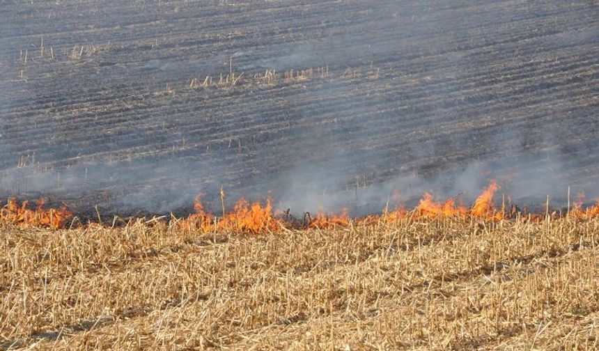 Silvan'da anız yangını: Onlarca dönüm alan kül oldu
